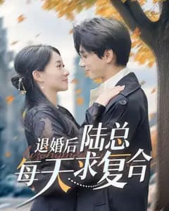 退婚后,陆总每天求复合