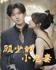 顾少的小宠妻