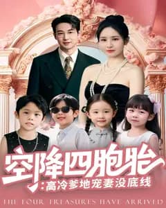 空降四胞胎:高冷爹地宠妻没底线