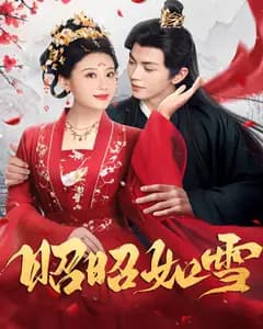 昭昭如雪