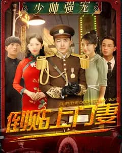 少帅强宠:倒贴上门妻