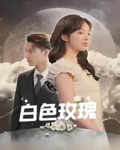 白色玫瑰