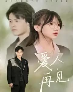 爱人,再见