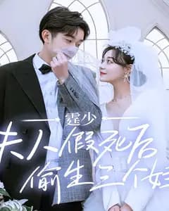 霆少,夫人假死后偷生三个娃