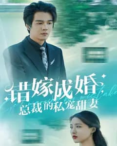 错嫁成婚,总裁的私宠甜妻