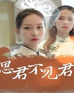 思君不见君