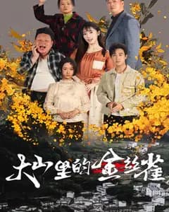 大山里的金丝雀