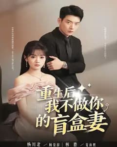 重生后,我不做你的盲盒妻