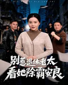 别惹退休老太,看她除霸安良