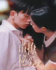 错撩秘爱