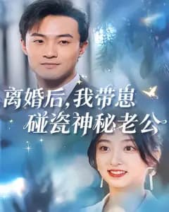离婚后,我带崽碰瓷神秘老公