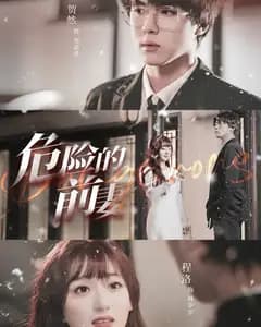 危险的前妻
