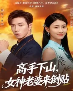 高手下山,女神老婆来倒贴