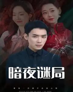 暗夜谜局