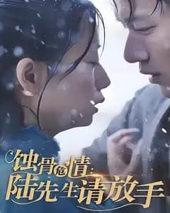蚀骨危情:陆先生请放手