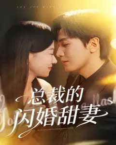 总裁的闪婚甜妻