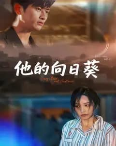 他的向日葵