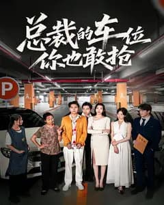 总裁的车位你也敢抢