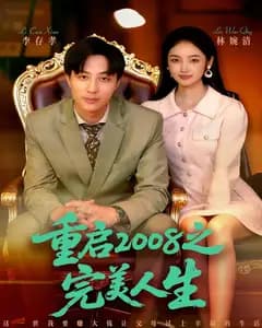 重启2008之完美人生