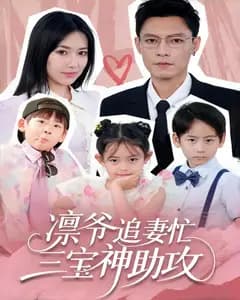 凛爷追妻忙,三宝神助攻