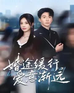 婚途缓行,爱意渐远
