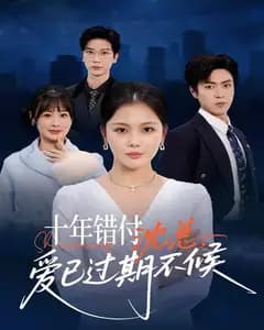 十年错付:沈总,爱已过期不候