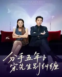 分手五年,宋先生别纠缠