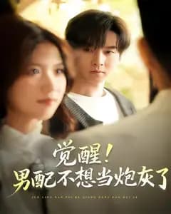 觉醒!男配不想当炮灰了