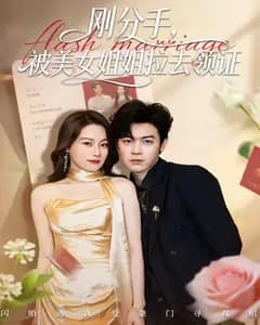 刚分手,被美女姐姐拉去领证