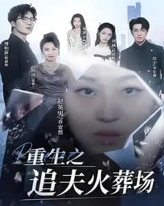 重生之追夫火葬场