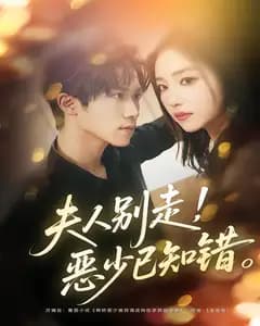 夫人别走,恶少已知错