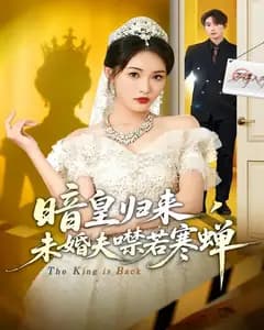 暗皇归来,未婚夫噤若寒蝉