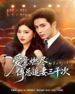 爱意燃尽,傅总追妻三千次