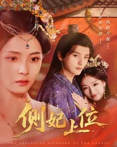 侧妃上位