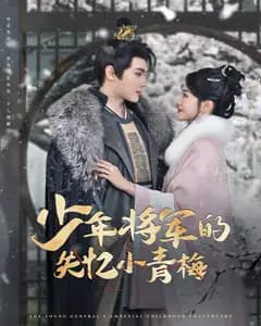 少年将军的失忆小青梅