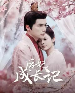 后妃成长记