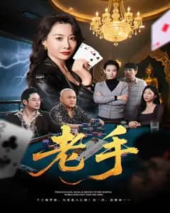 老手(短剧版