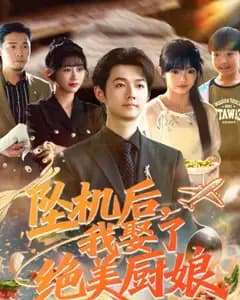 坠机后我娶了绝美厨娘
