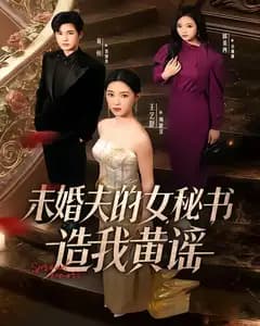 未婚夫女秘书的黄谣局