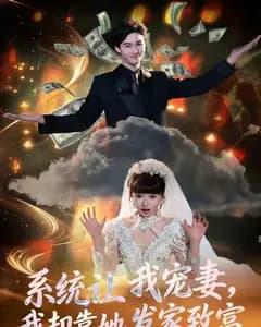 系统让我宠妻,我却靠她发家致富