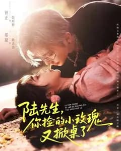 陆先生,你捡的小玫瑰又掀桌了