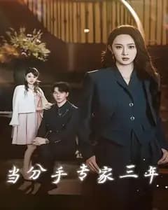 我当分手专家的三年
