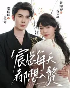 宸总每天都想入赘