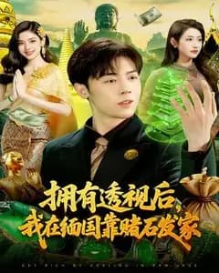 拥有透视后,我在缅国靠赌石发家
