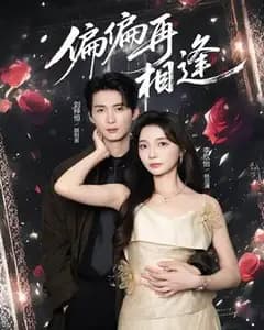 偏偏再相逢