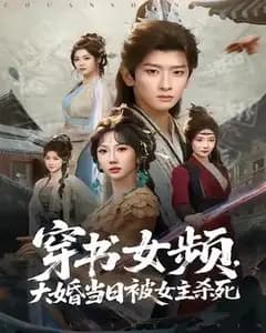 穿书女频,大婚当日被女主杀死