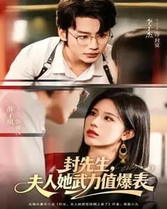 封先生,夫人她武力值爆表