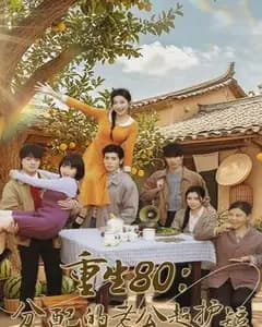 重生80:分配的老公超护短