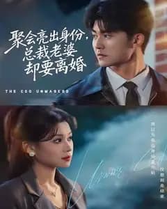 聚会亮出身份,总裁老婆却要离婚