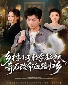 乡村小子敕令狐妖,奇石改命血路归乡